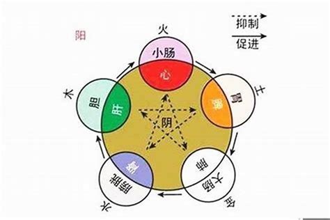 昇 五行|昇的五行属什么,昇字的五行属性,昇的寓意